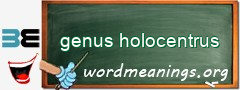 WordMeaning blackboard for genus holocentrus